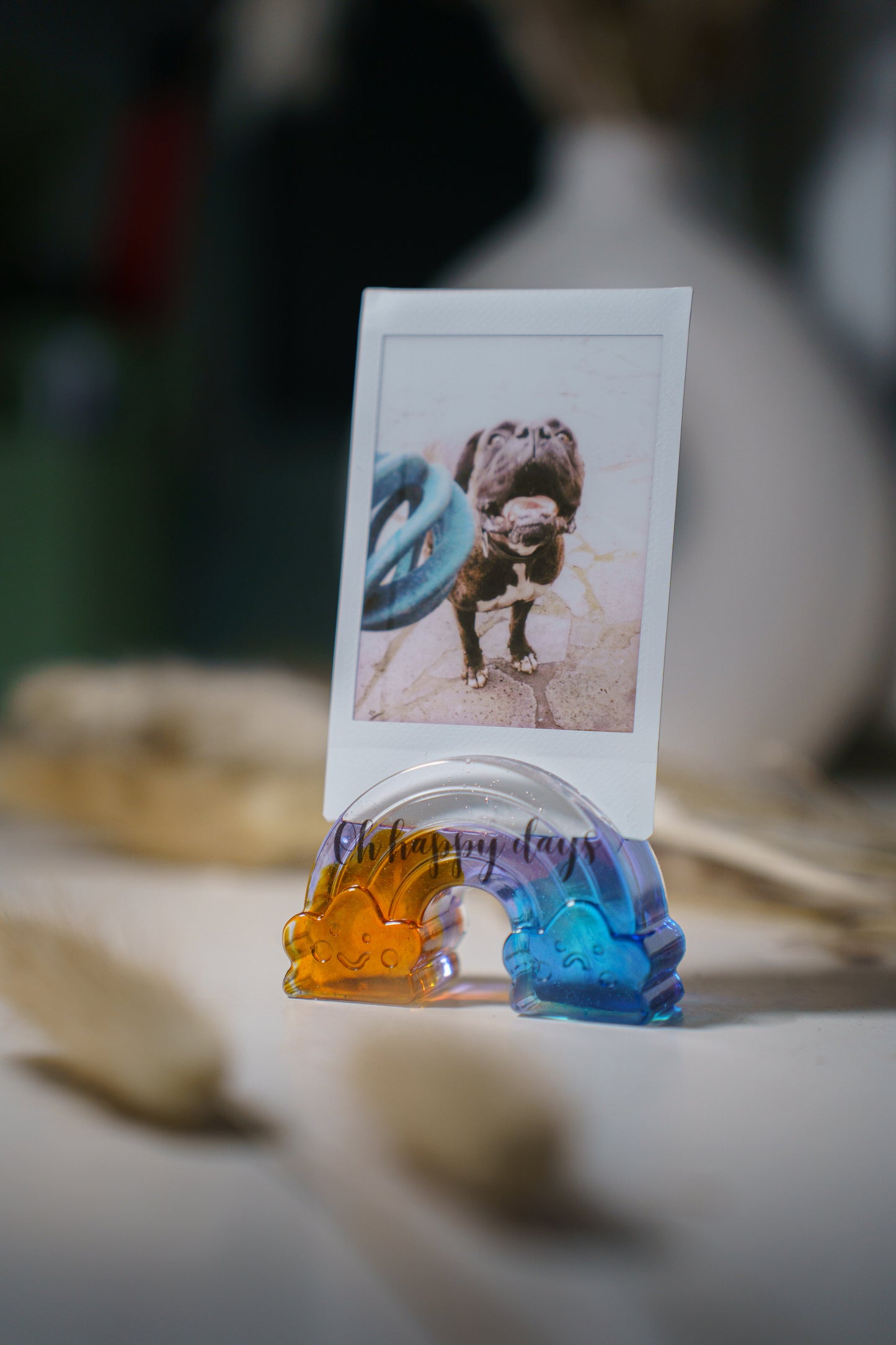 Rainbow Radiance: Customizable Photo & Card Holder